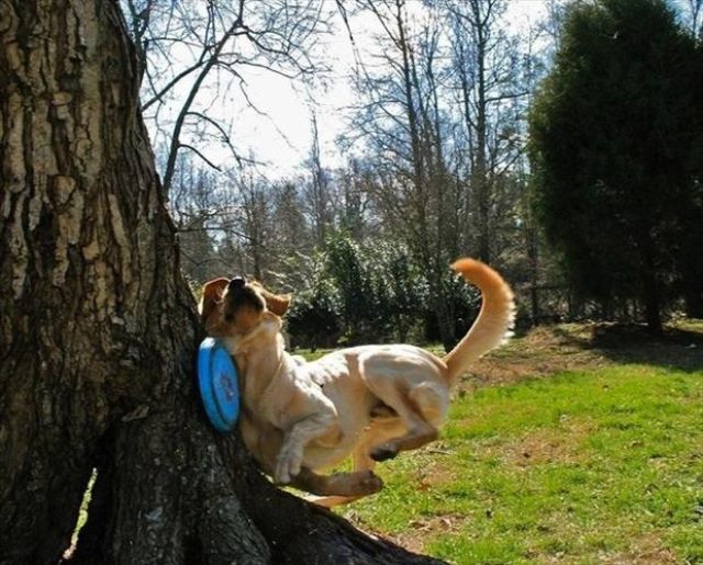 Фотографии сделанные вовремя (38 фото)