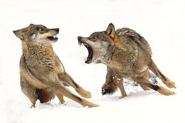 Фотографии сделанные вовремя (38 фото)