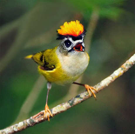 Прикольные картинки (40 фото)