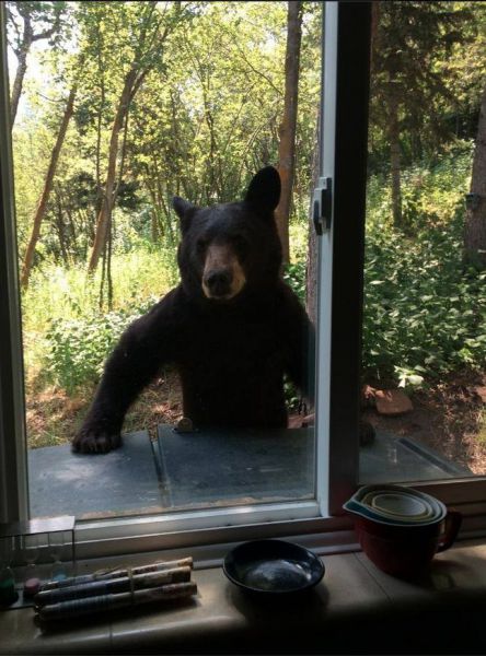 Прикольные картинки (70 фото)