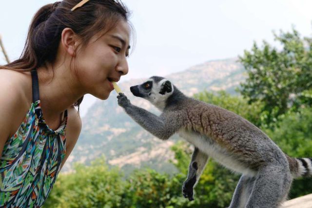 Прикольные картинки (70 фото)