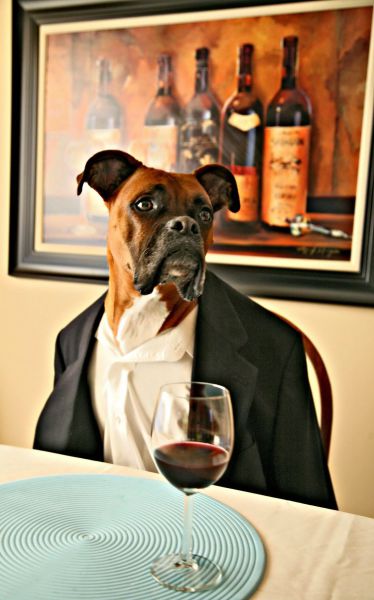 Прикольные картинки (70 фото)