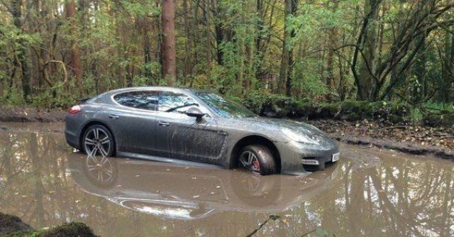 Прикольные картинки (70 фото)