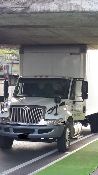 Прикольные картинки (70 фото)