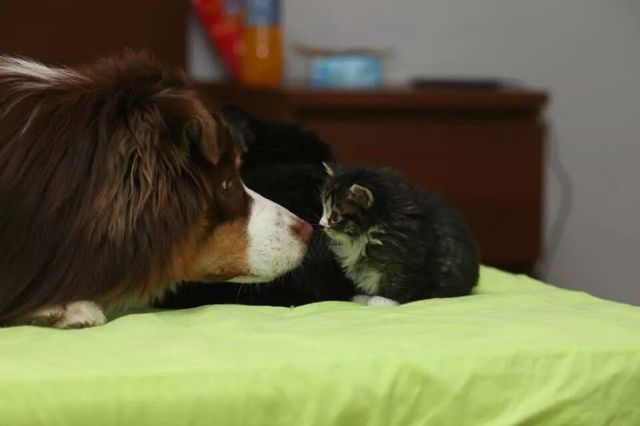 Прикольные картинки (70 фото)