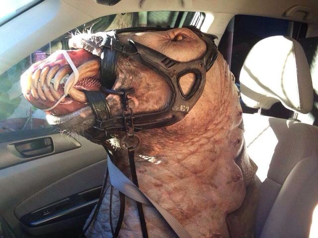 Прикольные картинки (70 фото)