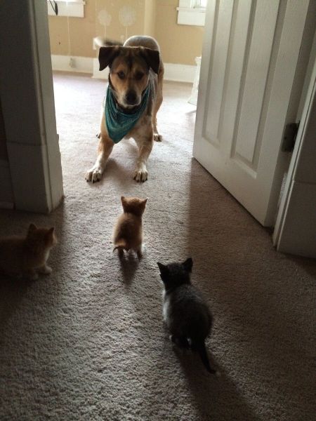 Прикольные картинки (70 фото)