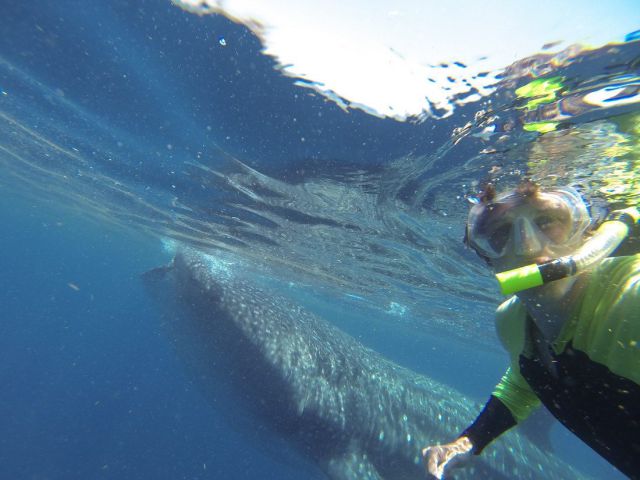 Прикольные картинки (70 фото)