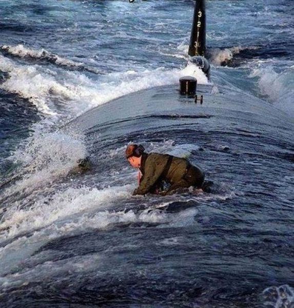 Прикольные картинки (70 фото)