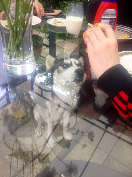 Прикольные картинки (70 фото)