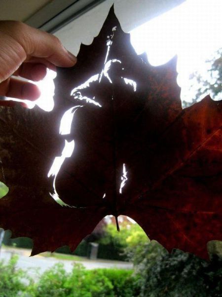 Прикольные картинки (70 фото)