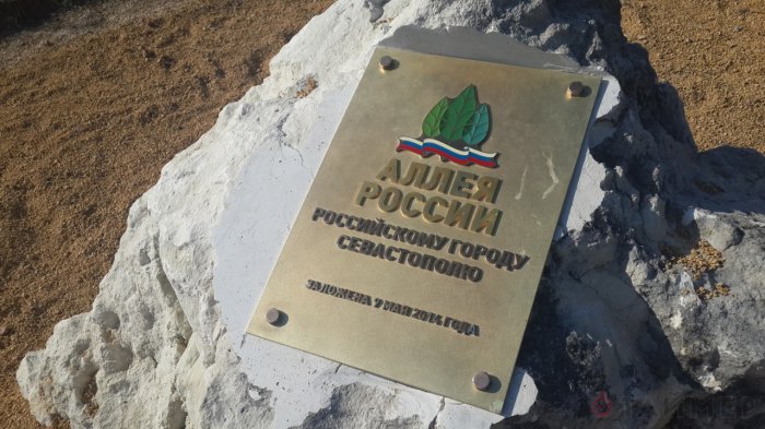 Выбери зелёный символ Красноярского края!