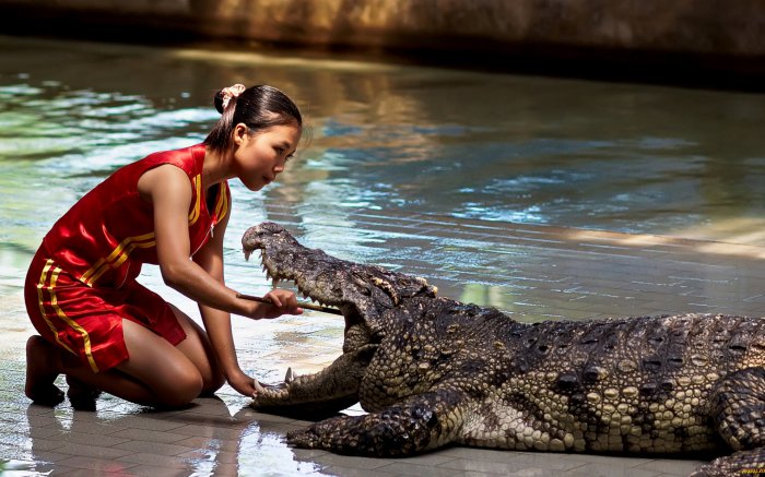 Обои на рабочий стол / Wallpapers. HQ. Mix 626