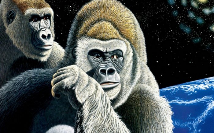 Обои на рабочий стол / Wallpapers. HQ. Mix 626