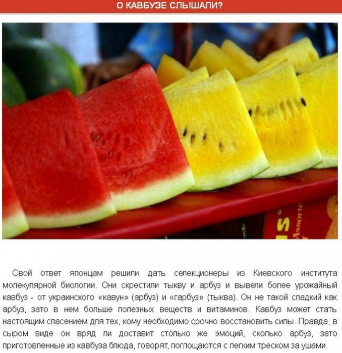 Интересные факты об арбузе (9 фото)