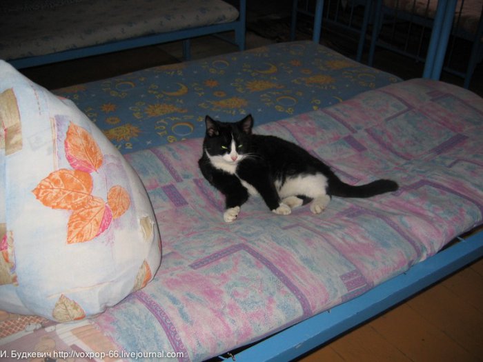 "Малолетка" - вчера и сегодня (53 фото)