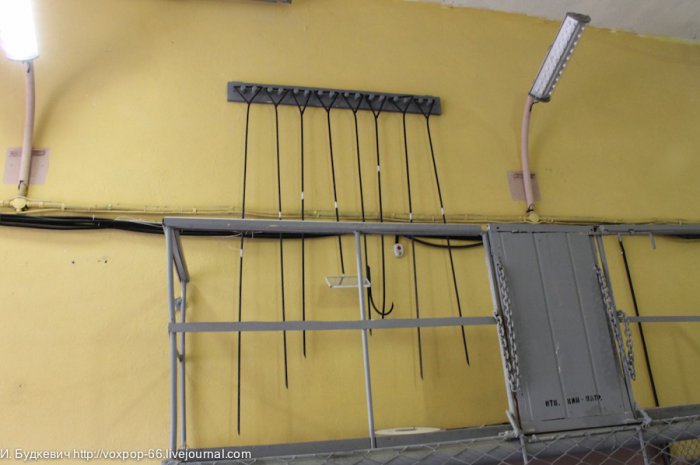 В камере женского СИЗО (29 фото)