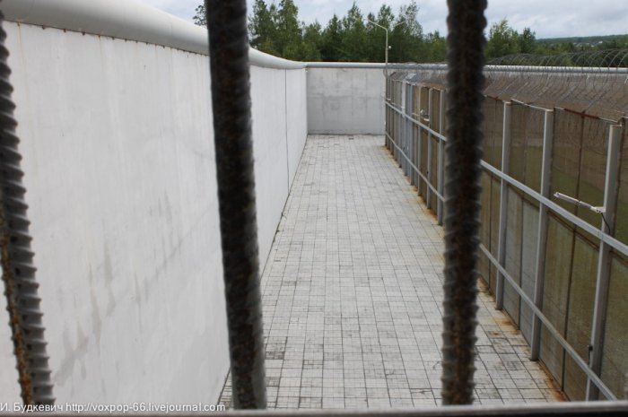 В камере женского СИЗО (29 фото)