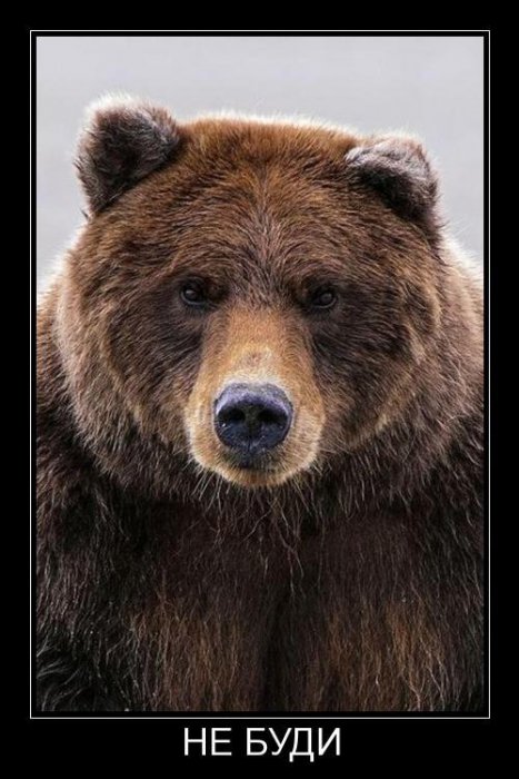 Картинки с политическим оттенком... 18+