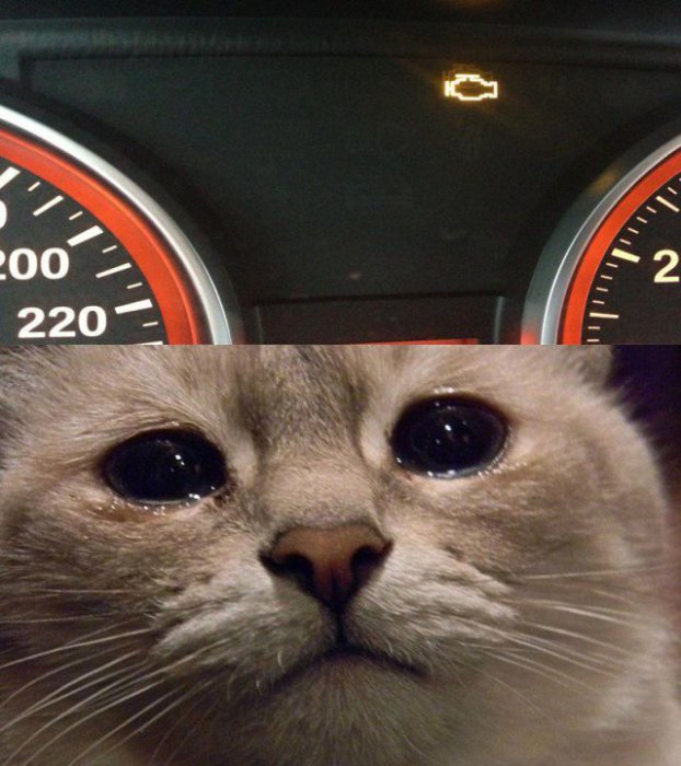 Автоприколы (55 фото)