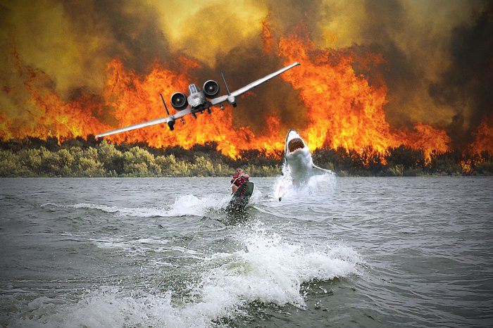 Прикольные картинки (40 фото)