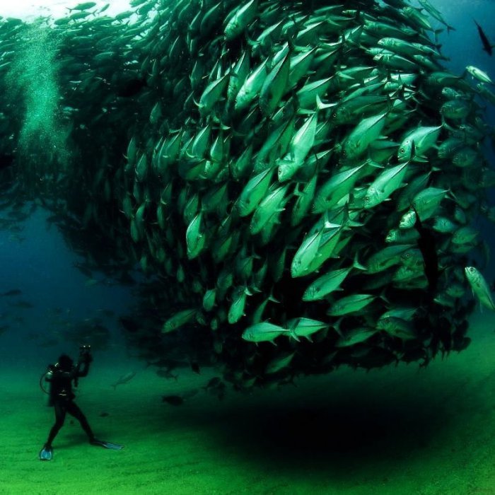 Прикольные картинки (40 фото)