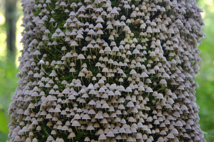 Прикольные картинки (40 фото)