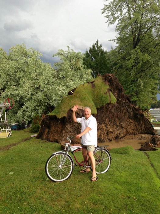 Прикольные картинки (40 фото)