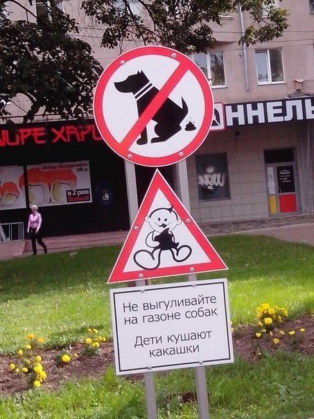 Забавные картинки