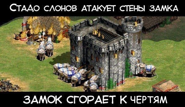 Забавные картинки