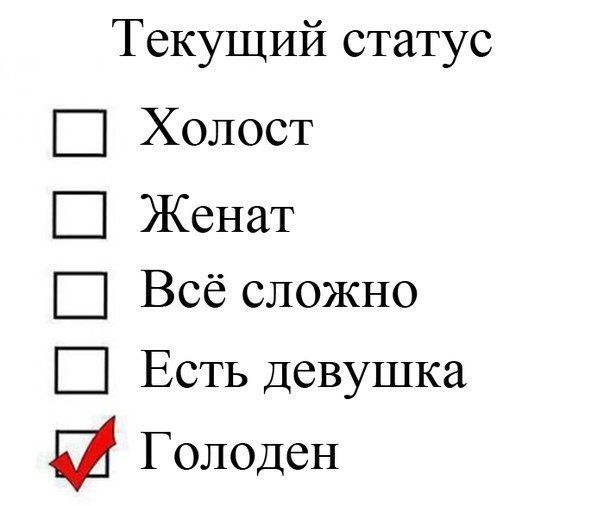 Забавные картинки