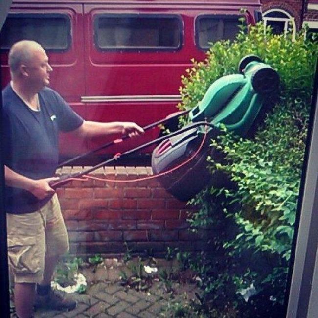 Забавные картинки