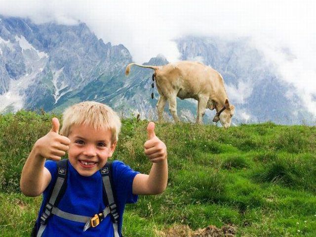 Прикольные картинки (99 фото)