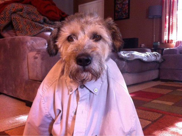 Прикольные картинки (99 фото)