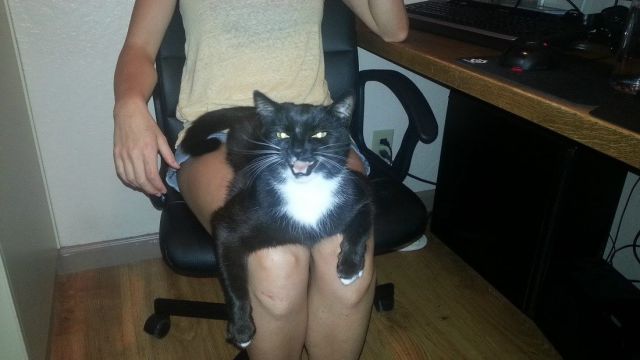 Прикольные картинки (99 фото)