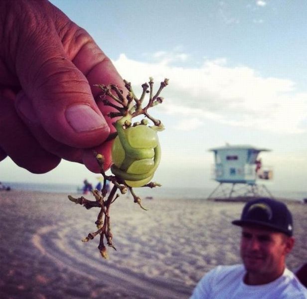 Прикольные картинки (99 фото)