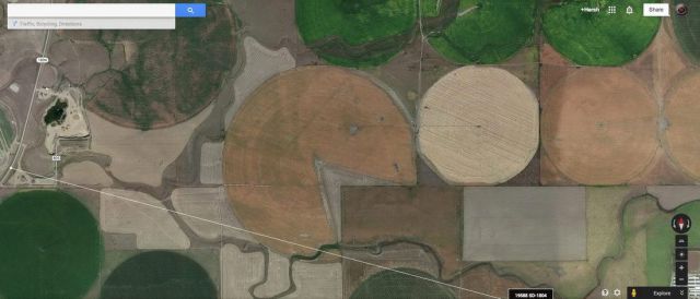 Прикольные картинки (99 фото)