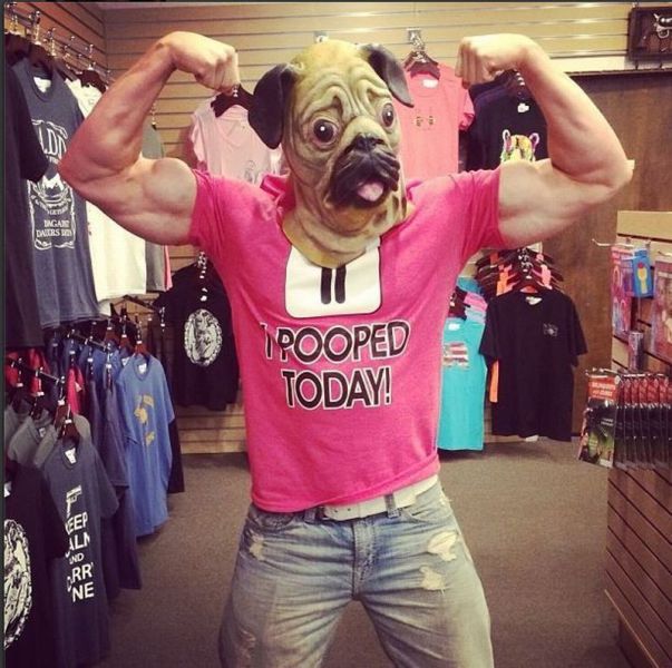 Прикольные картинки (99 фото)