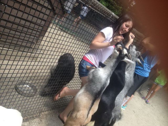 Прикольные картинки (99 фото)