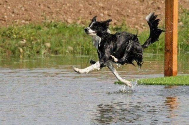 Прикольные картинки (99 фото)