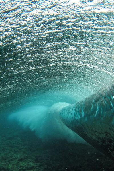 Прикольные картинки (99 фото)