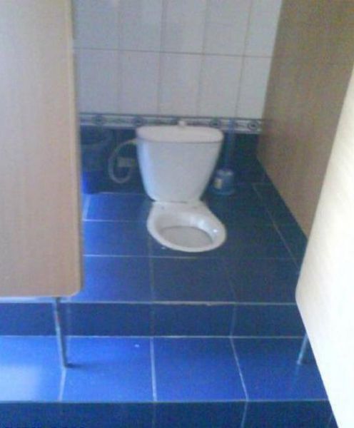 Прикольные картинки (99 фото)