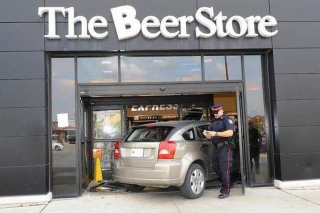 Прикольные картинки (99 фото)