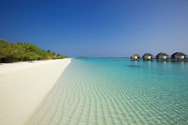 Прикольные картинки (99 фото)