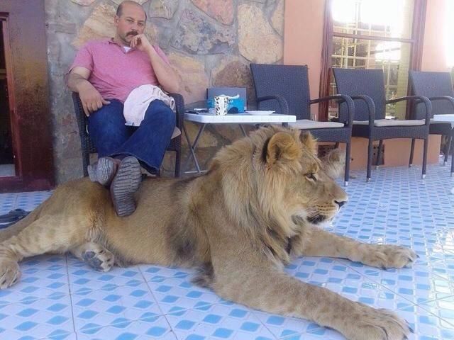 Прикольные картинки (99 фото)