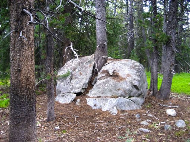 Прикольные картинки (99 фото)