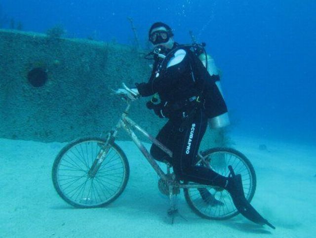 Прикольные картинки (99 фото)