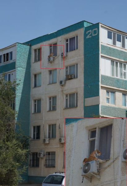 Такое возможно только в России (44 фото)