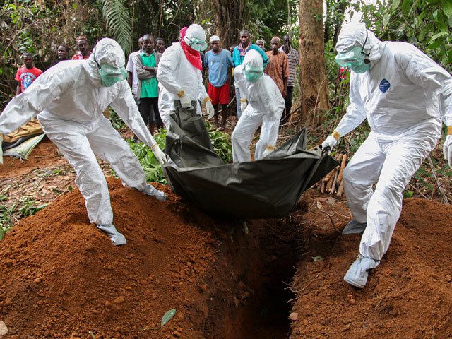 Смерть из джунглей: вирус Эбола - биологическое оружие или "утка" СМИ?