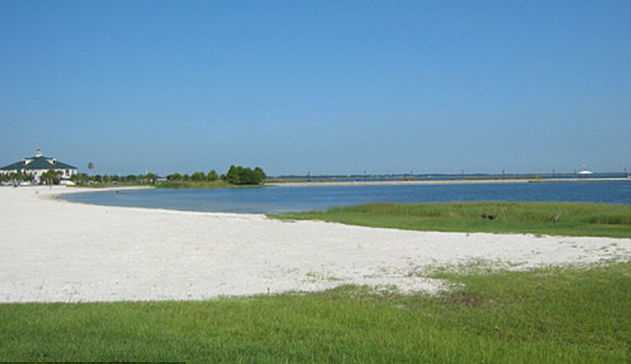 После схватки с ребенком крокодил лишился зуба